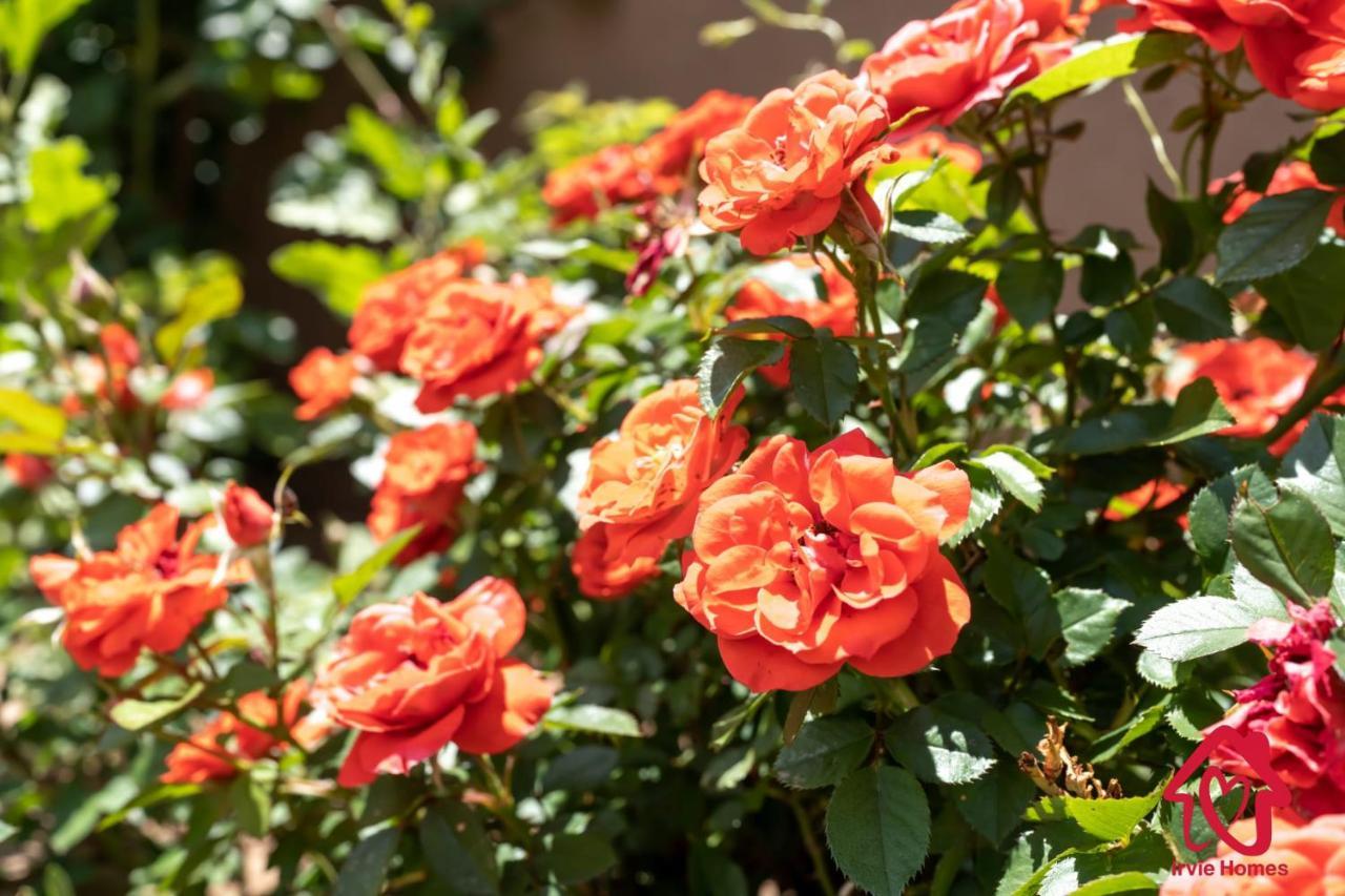 Rancho De La Luna Casita Santa Fe Zewnętrze zdjęcie